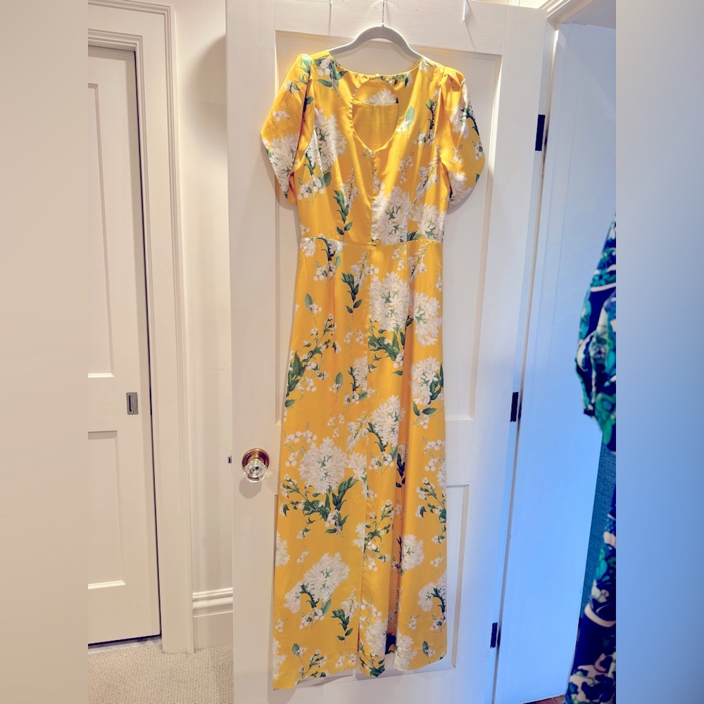 NWT Mestiza NY Katherine Maxi dress - Picture 5 of 11